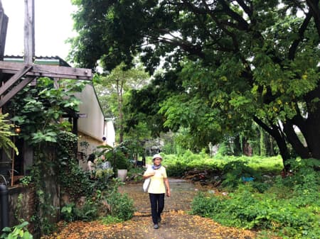 Suan San Pocket Park